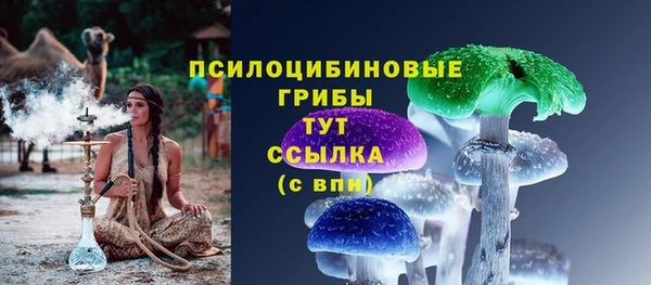 дурь Медногорск