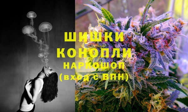дурь Медногорск