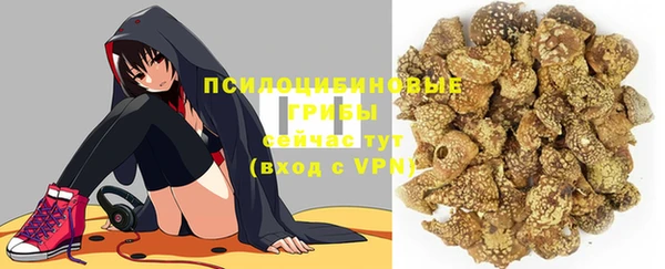 mdpv Мегион