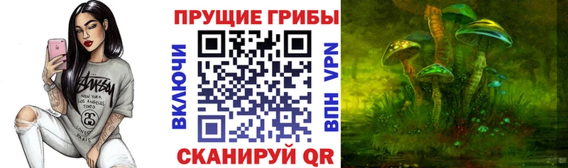 Псилоцибиновые грибы GOLDEN TEACHER  Псков 